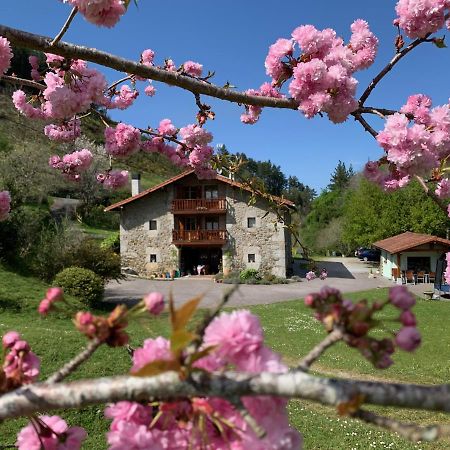 Agroturismo Urresti Gautegiz Arteaga ภายนอก รูปภาพ