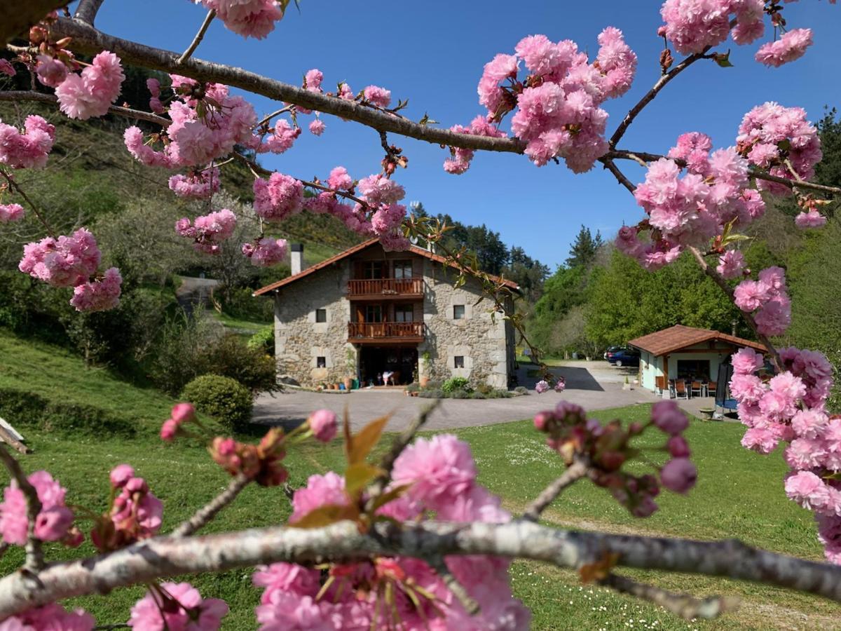 Agroturismo Urresti Gautegiz Arteaga ภายนอก รูปภาพ
